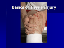 Unit 3 Basics of Tissue Healing - Anoka