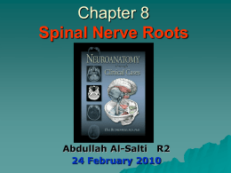 diseases of the nerve roots