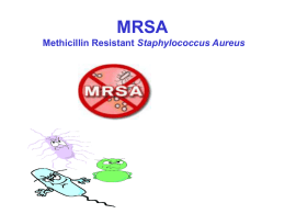 MRSA - Methicillin Resistant Staphylococcus Aureus 1