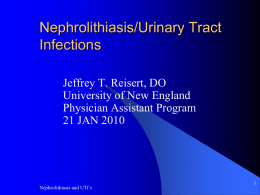 Nephrolith & UTIs