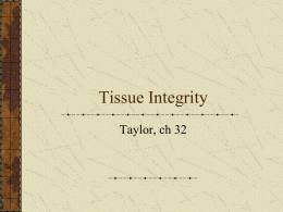 Tissue Integrity