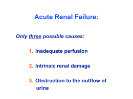 Acute Renal Failure: