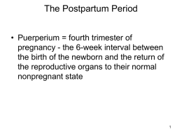 15_Pharmacotherapy of Postpartum