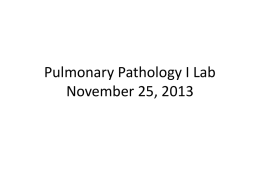Pulmonary Pathology I Lab November 25, 2013