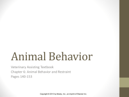 Animal Behavior - Locust Trace Veterinary Assistant Program