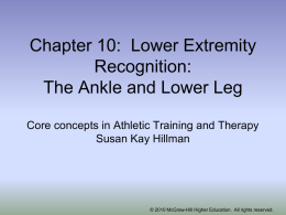 Chapter 19: The Ankle and Lower Leg