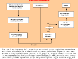 Chronic fatigue syndrome