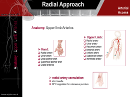 radial artery cannulation