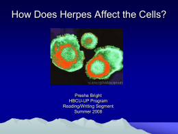 How Does Herpes Affect the Cells?