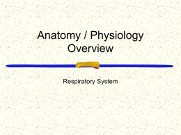 3.Respiratory System-student