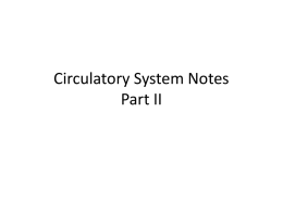 Circulatory System Notes Part II