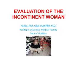 evaluation of the inkontinent woman