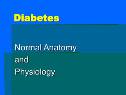 13. Endocrine: diabetes