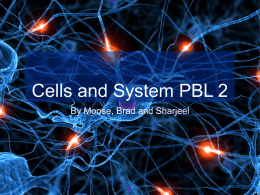 Cells and Systems Pbl2