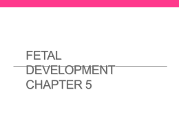 Fetal Development Chapter 5