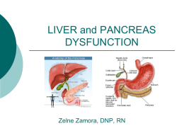 13.Liver.Pancreasx