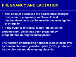 (LH) is taken over by human chorionic gonadotrophin (hCG)