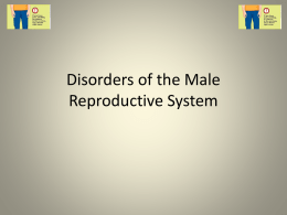Disorders of the Male Reproductive System