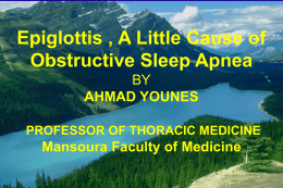 Epiglottis as a cause of Sleep Apnea