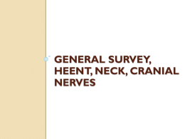 HEENT, Neck, CNs abnormals