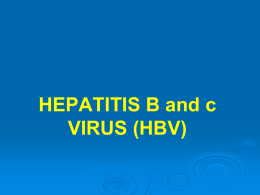 HEPATITIS B and c VIRUS (HBV) File