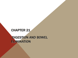 Chapter 21 Digestion and Bowel Elimination