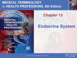 Ehrlich_8e_ppt__chapter_13 Endocrine System