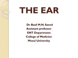 THE EAR