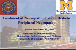 Strategies for Treating Diabetic Neuropathic Pain