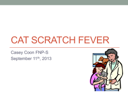 Cat Scratch Fever - Casey Coon Family Nurse Practitioner