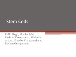 Stem Cells - tfss-g4p