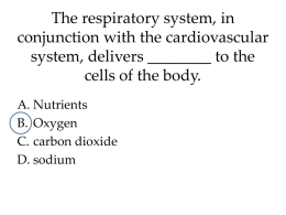 The respiratory system, in conjunction with the
