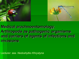 13. Medical arachnoentomology