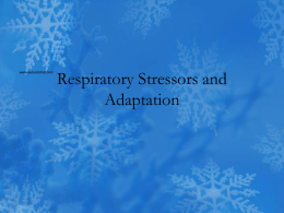 Child`s Respiratory Tract Children are prone to