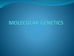 DNA - Medical Genetics
