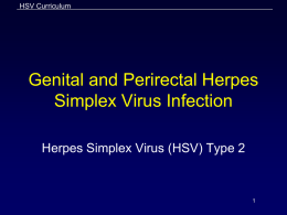 Genital and Perirectal Herpes Simplex Virus Infection Slides