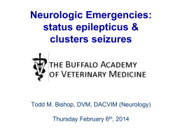 What is a seizure? - Buffalo Academy of Veterinary Medicine