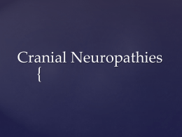 Cranial Neuropathies