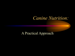 Canine Nutrition:
