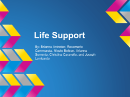 Life Support - SFP Online!