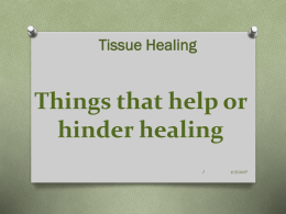 AT II Tissue Healing 6 - factors affecting tissue healing