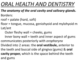 Soft Palate