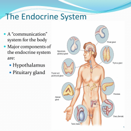 elevated blood glucose