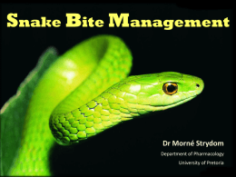 Snake Bite Management - University of Pretoria