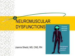 neuromuscular stressors