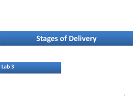 Stages of Delivery