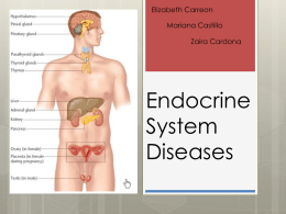 ENDOCRINE SYSTEMx