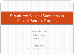 Structured Clinical Scenarios in Penile Trauma