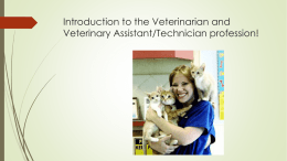 Introduction to the Veterinary Assistant