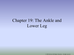 Chapter 19: The Ankle and Lower Leg - McGraw